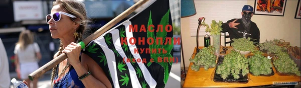 apvp Няндома