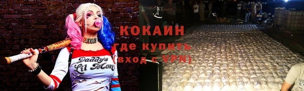 apvp Няндома