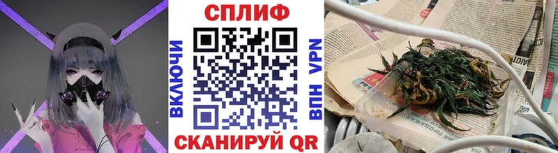 Конопля сатива  Туринск 
